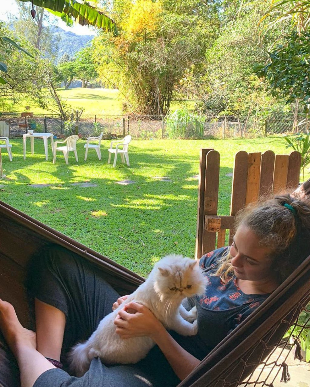 area-de-descanso-dos-gatos-paraiso-pet-hotel.jpg