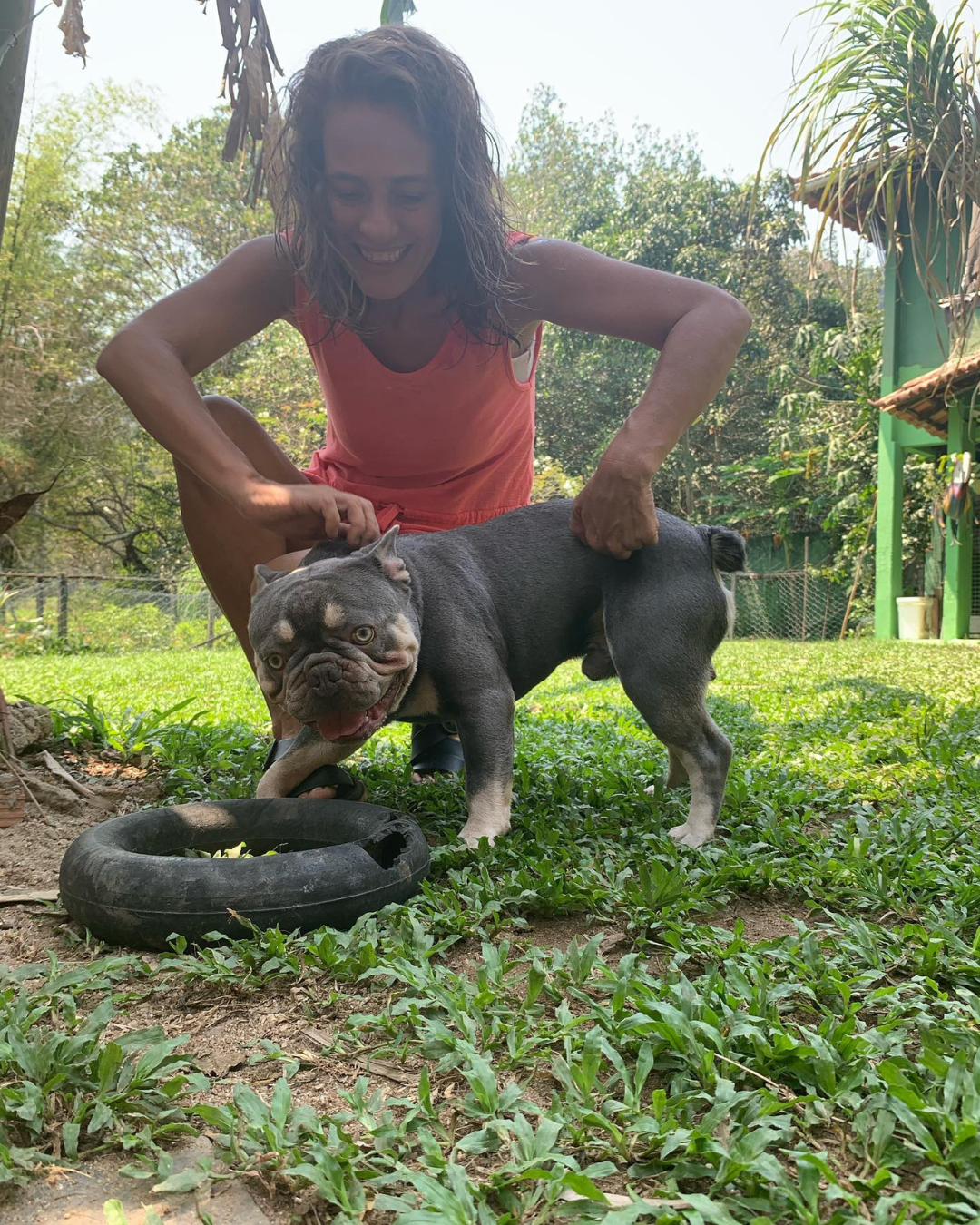 cuidados-com-caes-hospedados-paraiso-pet-hotel.jpg