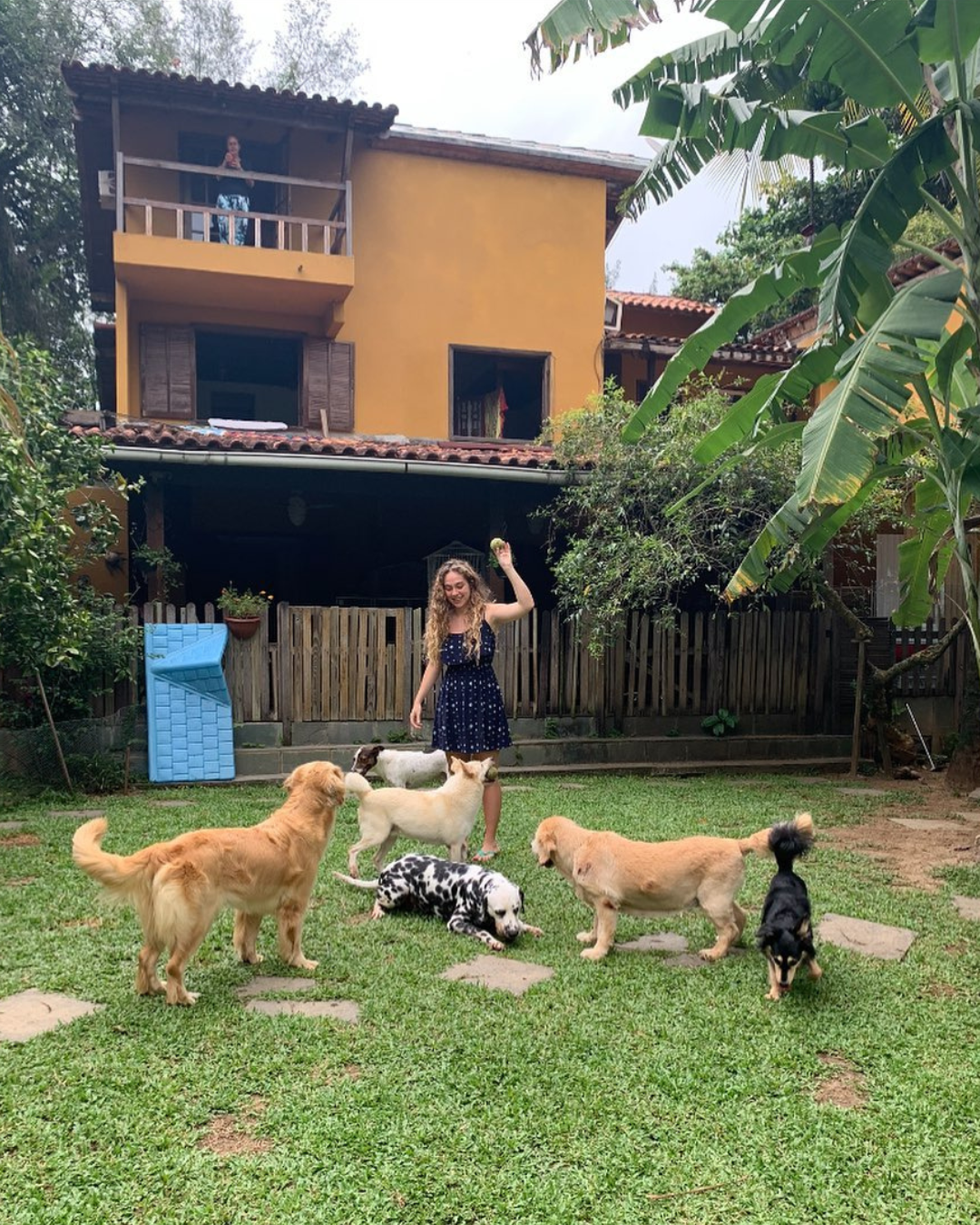 hospedagem-segura-para-cachorros-paraiso-pet-hotel.jpg