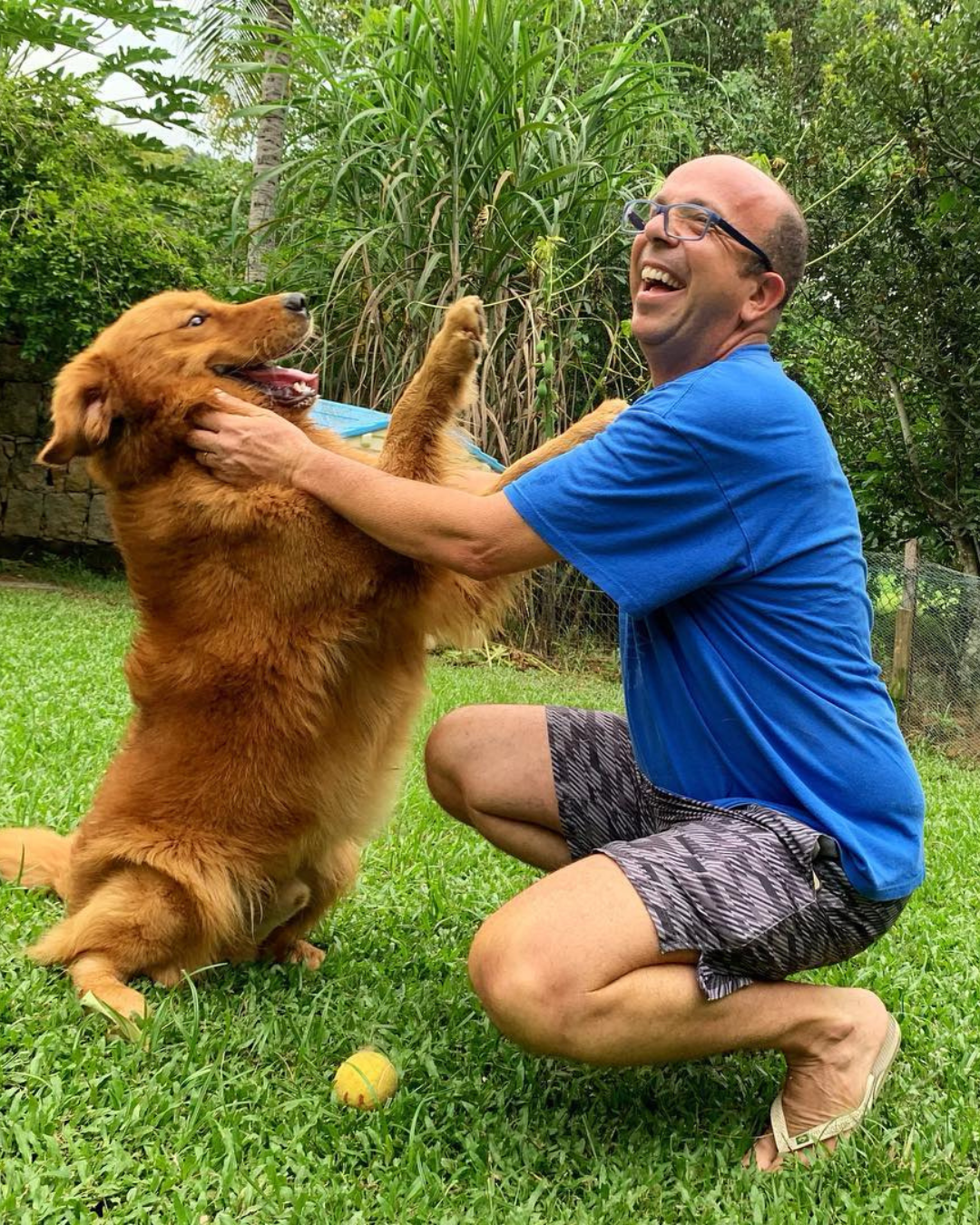 momento-de-diversao-dos-caes-paraiso-pet-hotel.jpg